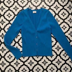 Aritzia Blue Cardigan
